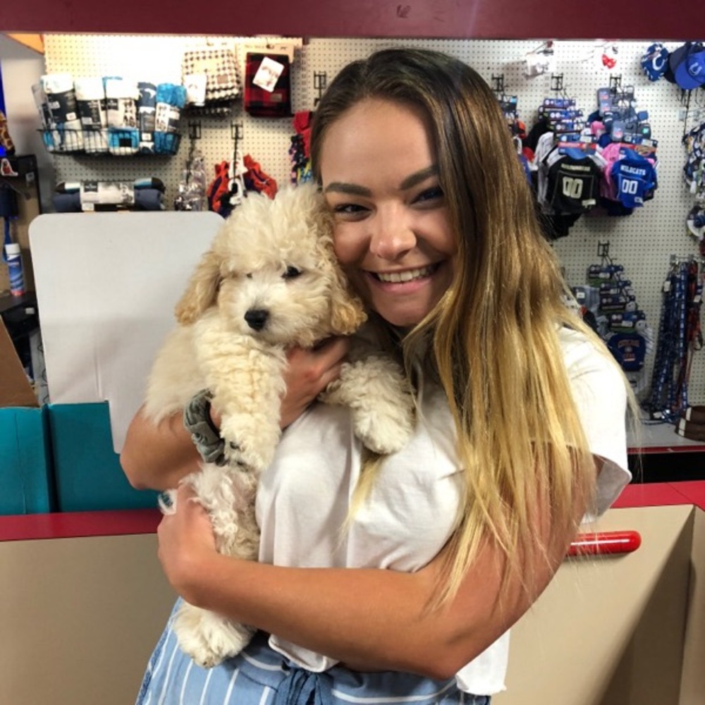 Meet your Posher, Katie